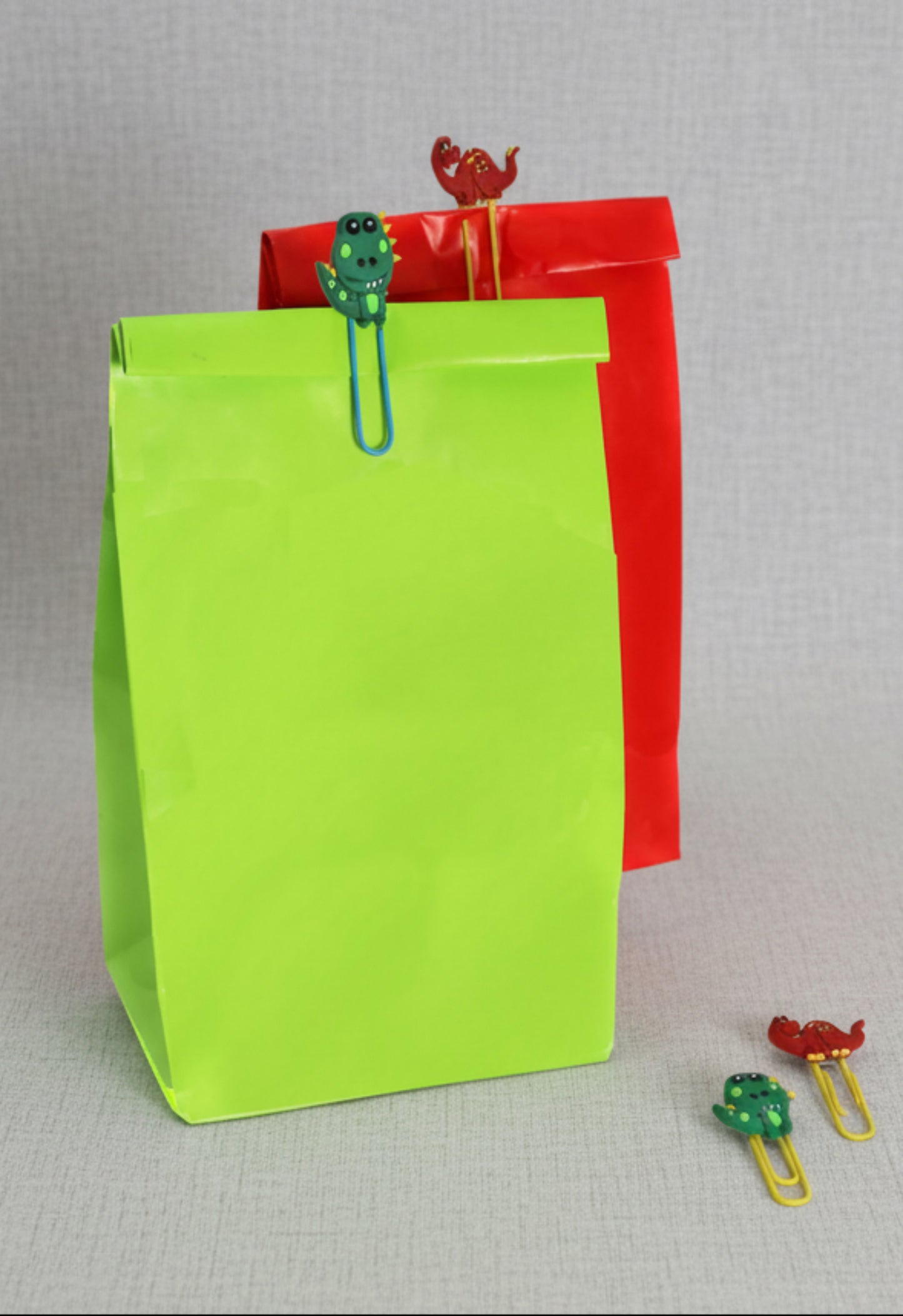 Dinosaur Party Bag - The Little Things