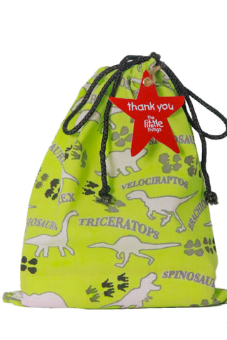 Dinosaur Print Fabric Party Bag