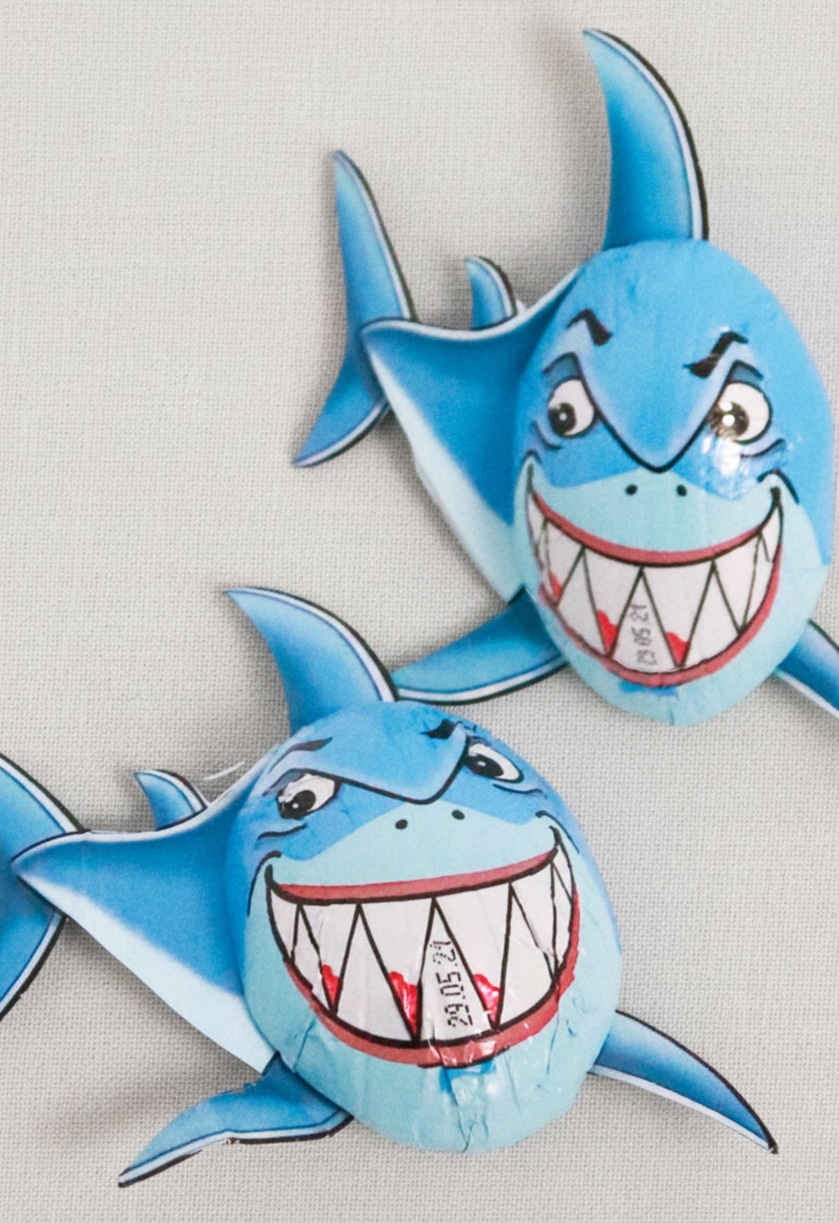 Shark Chocolate