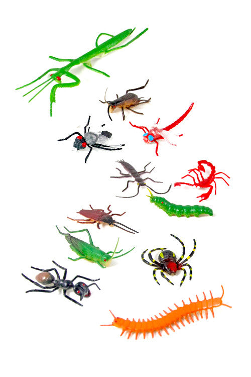 Mini Insect - The Little Things