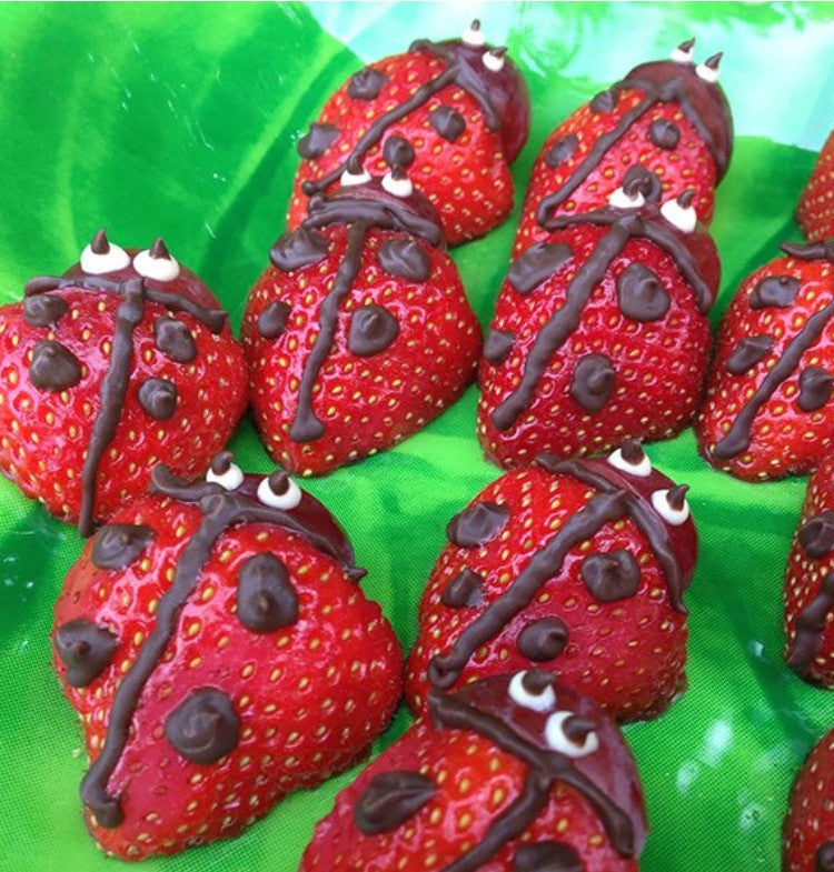 Strawberry Ladybugs