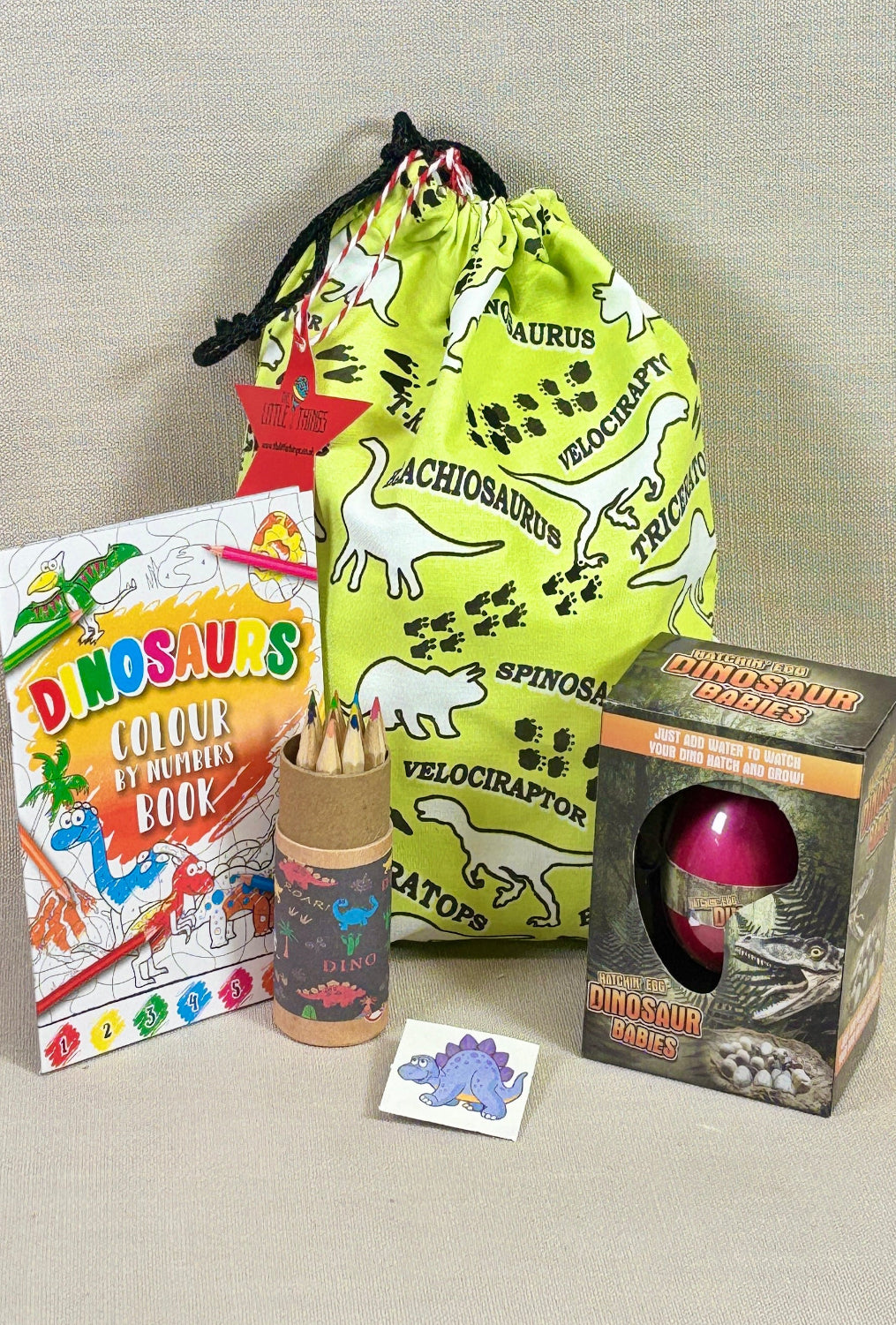 Educational toys and materials including a dinosaur-themed book, toy, and drawstring bag on a neutral background.