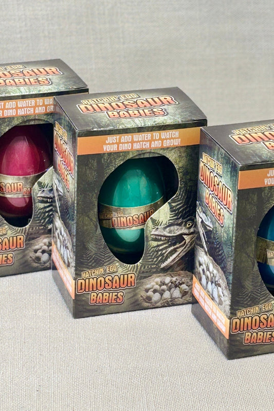 Three colorful Dinosaur grow eggs in their packaging on a light gray background