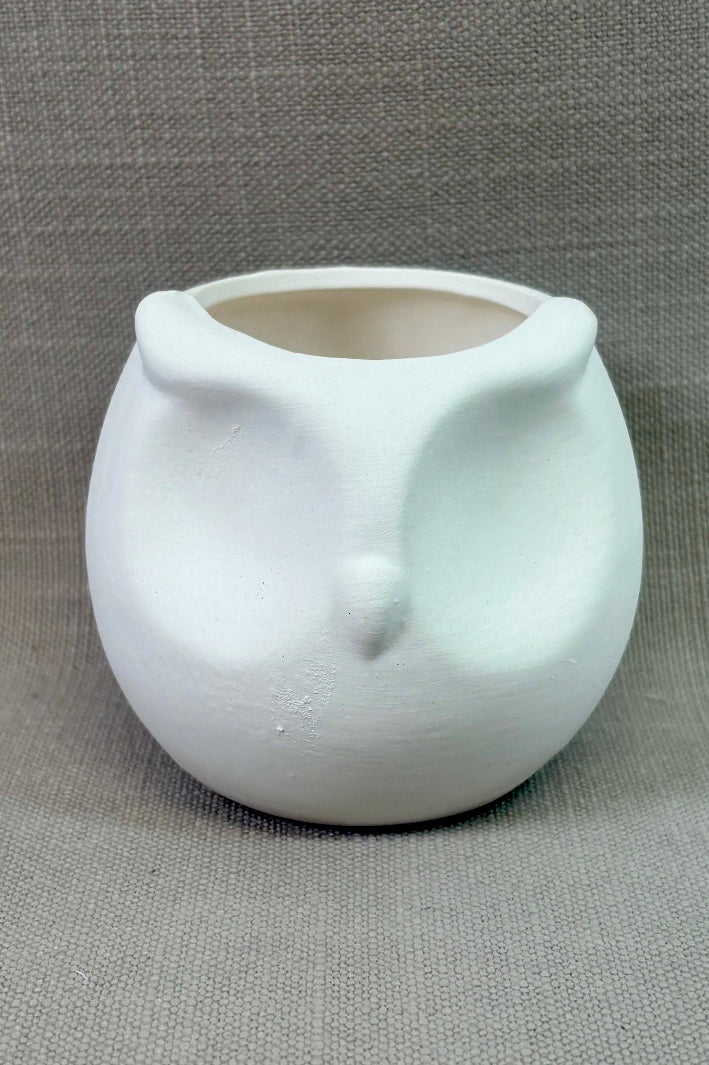 Paint Your Own Pot