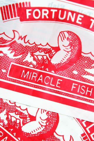 Fortune Telling Fish - The Little Things