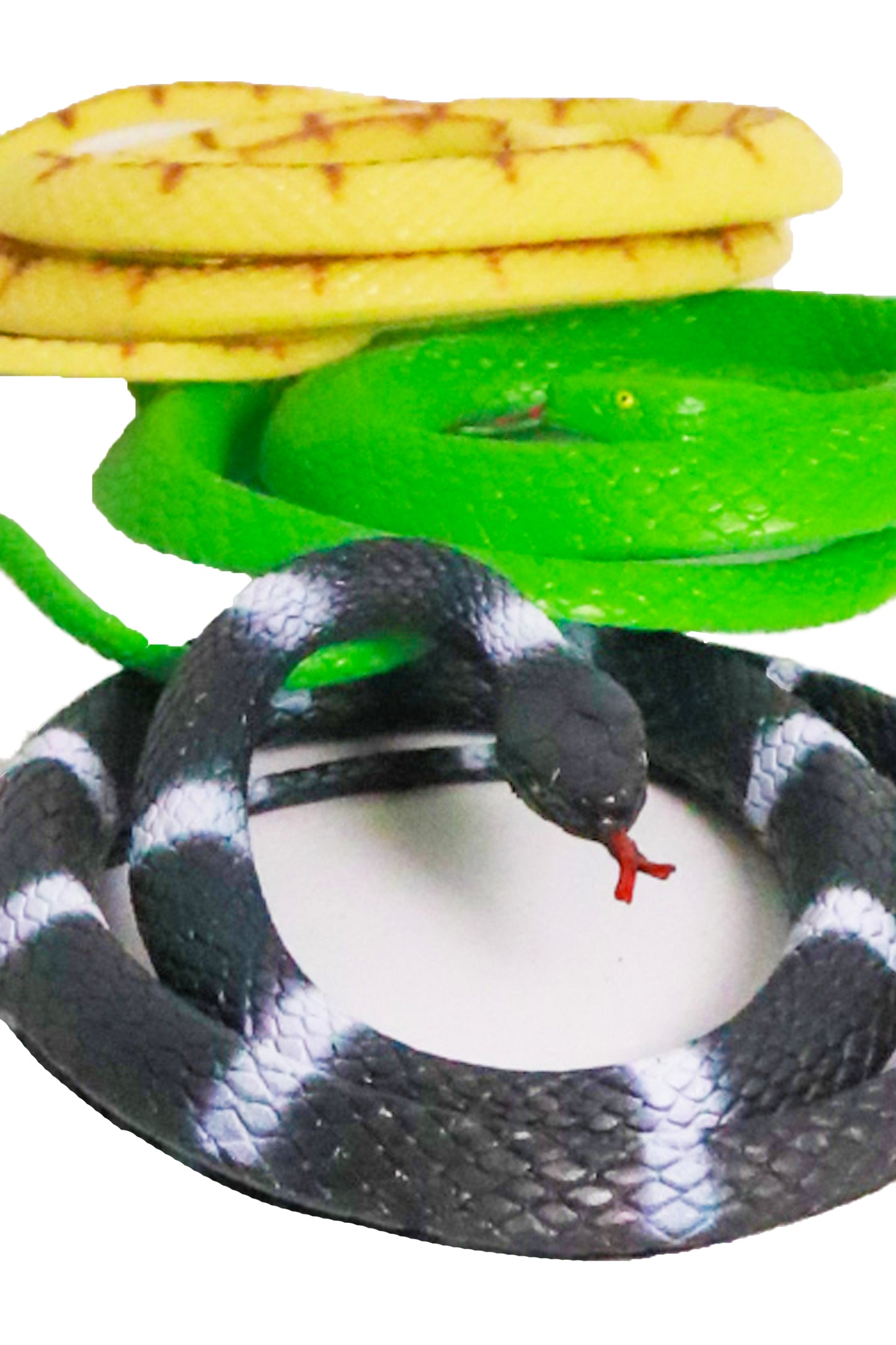 Rubber Snake